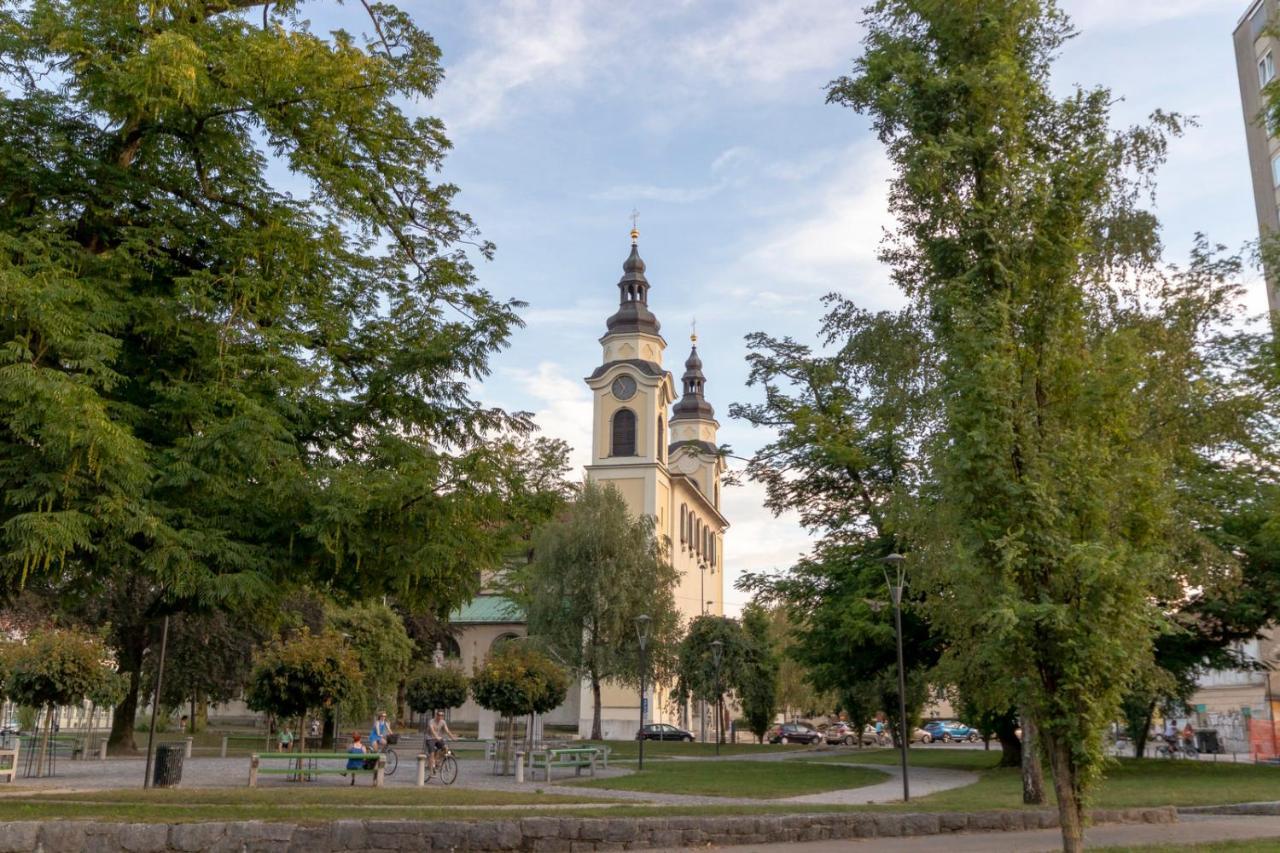 Njegoseva With Big Terrace Apartment