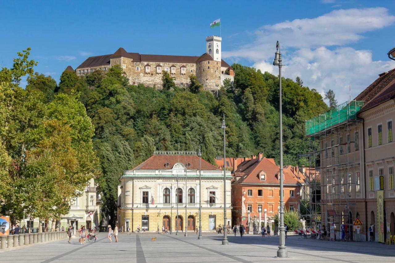 Njegoseva With Big Terrace Apartment Laibach